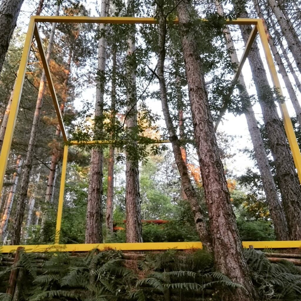l'opera senza titolo dell'artista Giovanni Fava installata al MABOS, museo del bosco della sila