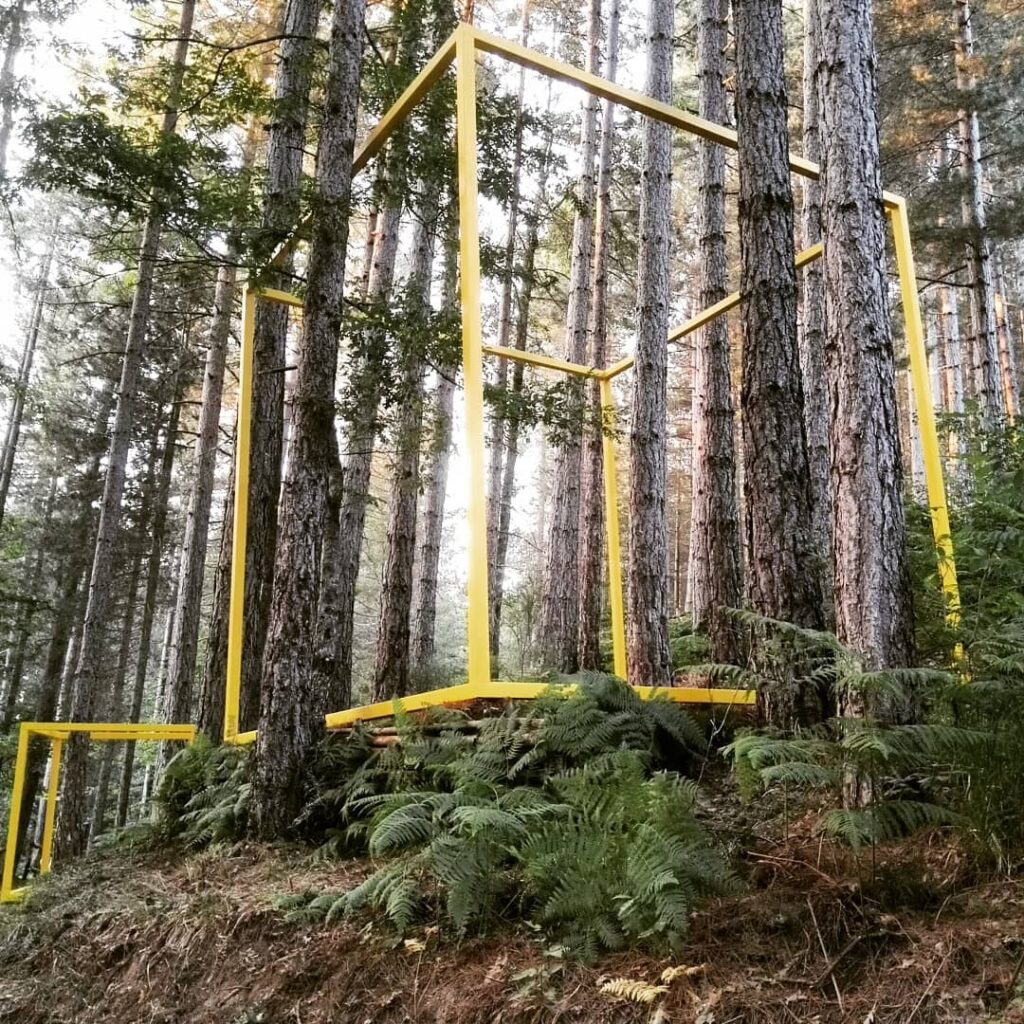 l'opera senza titolo dell'artista Giovanni Fava installata al MABOS, museo del bosco della sila