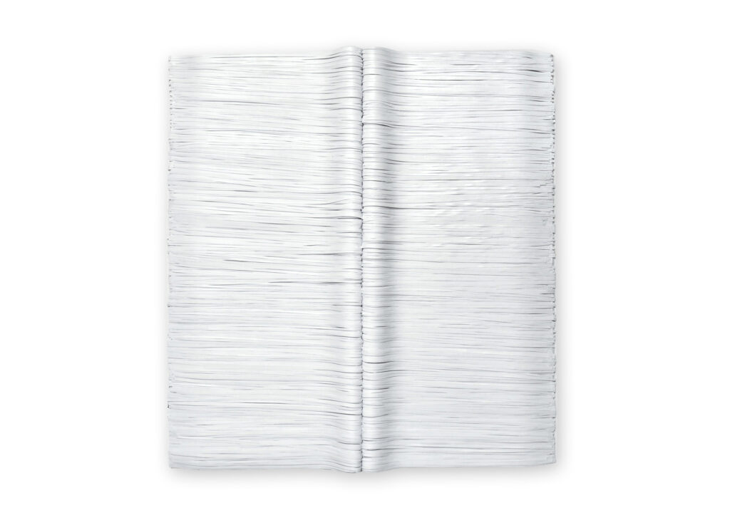 Senza titolo 2015, opera d'arte contemporanea a tecnica mista di cm 130 x 140, appartenente a una collezione privata. La superficie è interamente costituita dalle pagine aperte, distrutte, candide e stratificate di un libro bianco non scritto e smembrato. La superficie si presenta sfilacciata in linee orizzontali. Opera realizzata dall'artista Giovanni Fava.